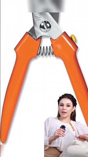 Stress-Free Nail Trims! The BEST Clippers for Large Dogs (Millers Forge Review)