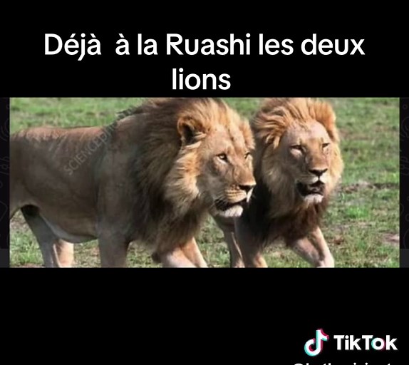 kathy vision TV portable on TikTok