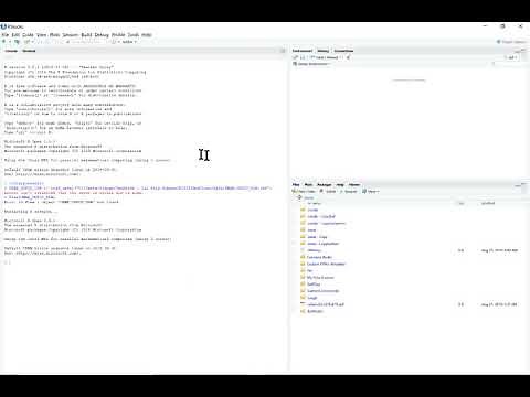 Import Excel Data with R Studio