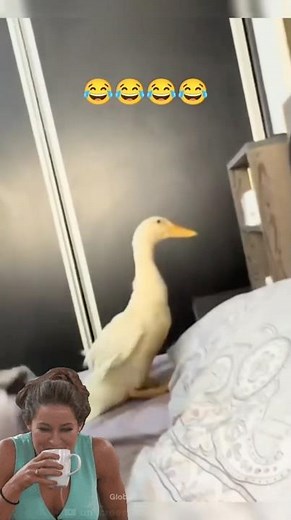 Funniest 10 Seconds Ever 😂🔥 #shorts #comedy