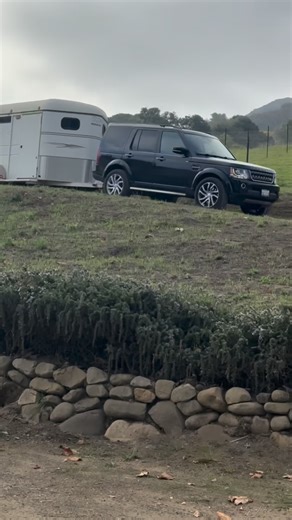 13 reactions · 8 comments | Welcome home, Patsy and Crissy! They...