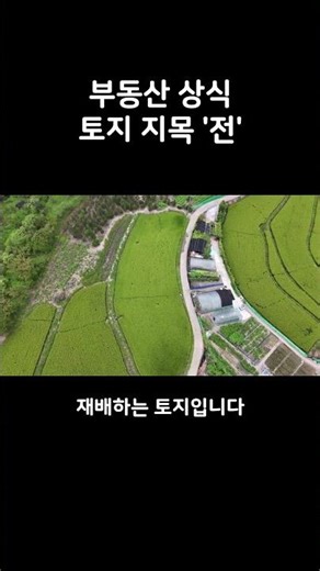 부동산 상식 토지 지목 '전'에 대해