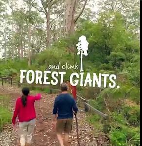 1.8K views · 29 reactions | Get a taste of Australia's largest premium wine region and savour the scenery along the way. | Western Australia | Facebook