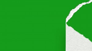 Torn Paper Transition Effects Green Screen Stock Footage Video (100% Royalty-free) 1058866669 | Shutterstock