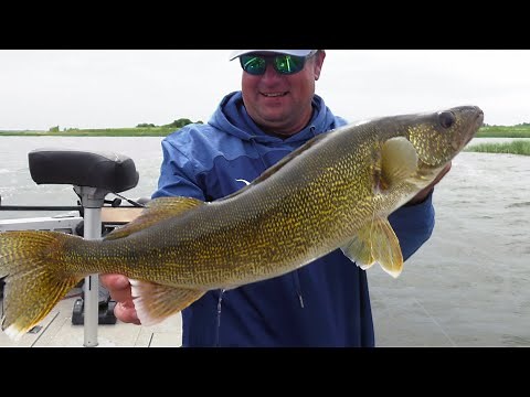 Slip Bobber Secrets for Walleye (Devils Lake ND)