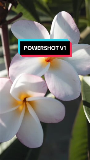 PowerShot V1: Crea y Captura