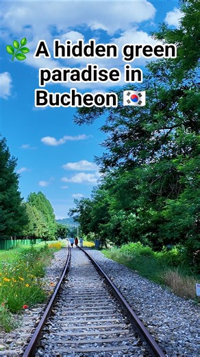 Hidden Nature in Bucheon 🌿 Walking Through Bucheon Southern Ecological Park 🇰🇷
