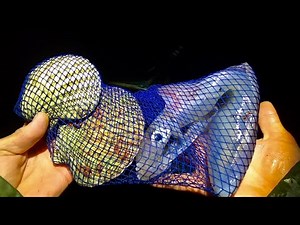 Massive Scallops & Squid on Extremely Low Tide Coastal Foraging - Catch Clean Cook