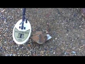 Whites Electronics Gold Master - TDI Comparison