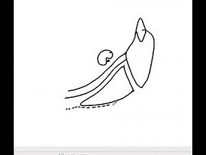 surfaces of superficial part of submandibular gland DR SAMEH GHAZY