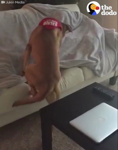 Soldier Comes Home And Surprises His Dog
