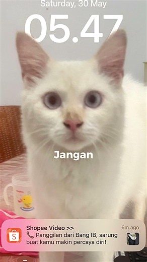 Temeni aku tuk sebentr sja agar aku tak kesepian.jangan pergi pergi lagi aku tak mau sendiri id 👇👇