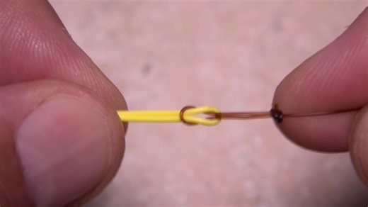 Perfection Loop (完美环结)