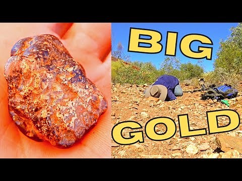 The gold rush is on! Metal detecting for gold nuggets and specimen