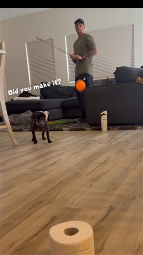 Back at it? #subscribe