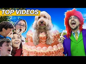 Unforgettable Family Surprises That Shocked Everyone! | FV Family Top Videos