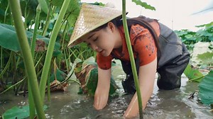 Enjoy Cooking Style, Get Subtitle Cooking Videos | Tasty Food