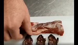 Video: Taste Testing Coyote Backstrap | OutdoorHub