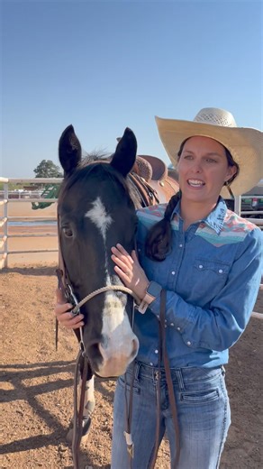 16.975 is out front in Round 1 of the Premier Pink run by Lexi Benson and Dashin Jack Sparrow sired by JL Sirocco! | Pink Buckle