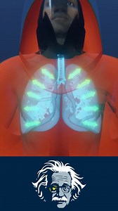 136K views · 709 reactions | Ever wondered how sailors escape a...