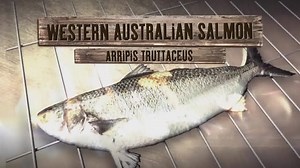 390 reactions · 32 shares | Here it is! The first episode of IFISH Series 10. A little sneak peak at Tacklerat's NEW job and where we are headed in Sunday's episode. You can catch it 5.30pm on ONE. TEAM IFISH | Ifish | Facebook