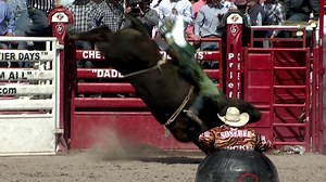 2.7K views · 81 reactions | The 2019 national finals Panola College...