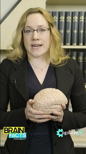 Visual Issues after a concussion | Brain Facts #shorts