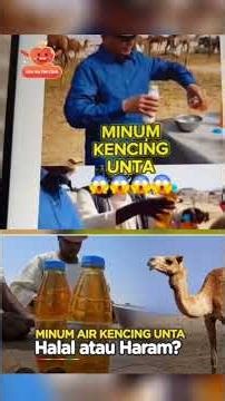 Discussion with Basori, an Indonesian restorer, on the theme of Arabian camel milk 😁