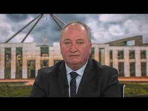 ‘I never knew there was that many people with walking sticks’: Joyce hits out at rampant NDIS fraud