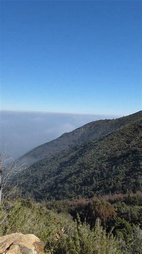 ruta parque la campana, olmue.