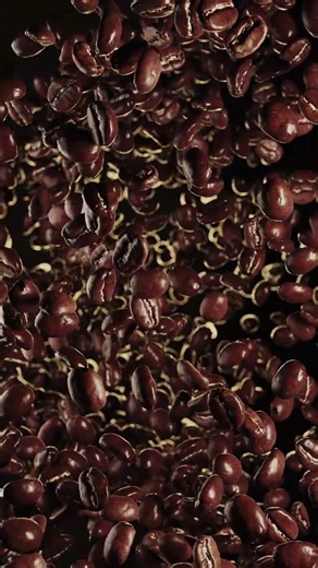 Coffee beans sim in houdini. #3d #houdini #houdinifx #rbd #simulation