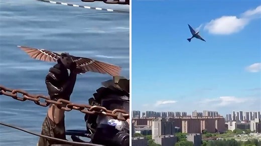 New Chinese Drone Confirms Gen-Z Viral Theory That Birds Aren't Real