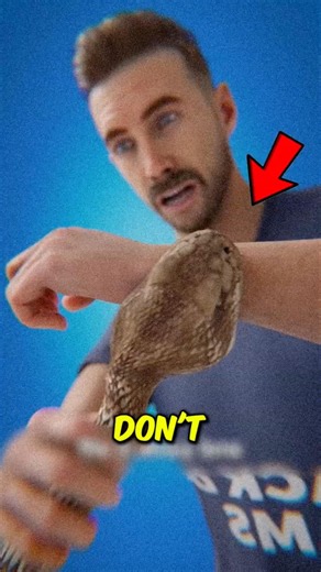 Snake Bite Survival Trick ‼️😱