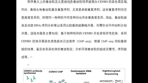 着丝粒CENH3 ChIP-seq