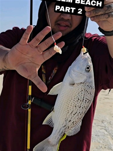 Camping and Fishing at Hameem Beach, Abu Dhabi