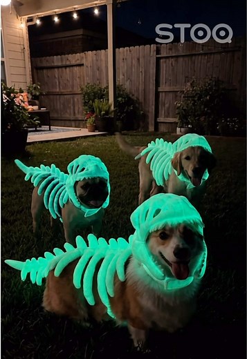 Glow-in-the-Dark Tiny Dinosaur Dog Costumes — Nighttime Puppy Patrol