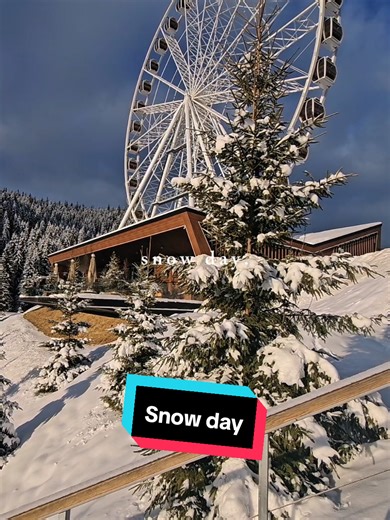 #CapCut #bukovel #carpathianmountains #snow #wintersports