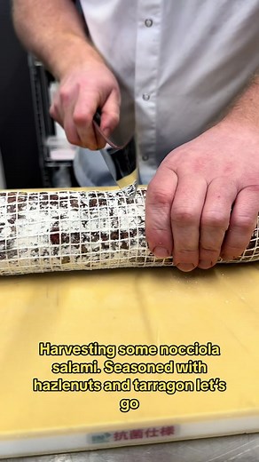 @Jusupper harvesting some salami! #salami #salume #salumeria #charcuterie #charcuterieboardsoftiktok #butchershop #butchertiktok #butcherlife #butchery #wholeanimalbutchery #wholeanimalcooking #pastureraised #pasturedpork