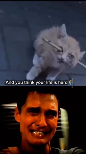 Cat sad moments 😭 (pt-50)#pets #shorts