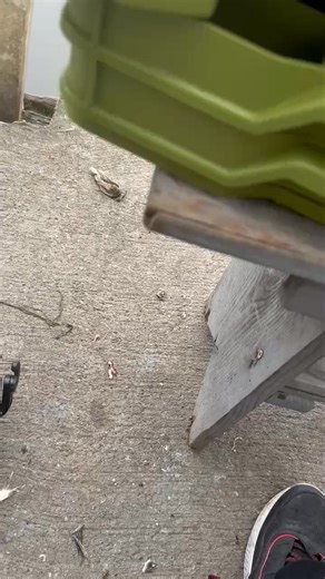 Benjamin Miller on Reels