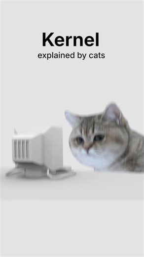 coding.kitty on Instagram: "Kernel, explained by cats. #cat #code #kernel #os #linux"