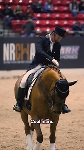 AnnA on Instagram: "Demonstrating how a good basic foundation is universal when it comes to riding. Really awesome to see @andrea_fappani try his hand at dressage for the first time with a very special teacher in Diva! 🤠💃👑"