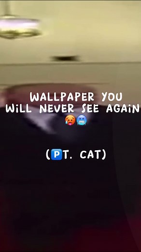 Wallpaper Hub on TikTok