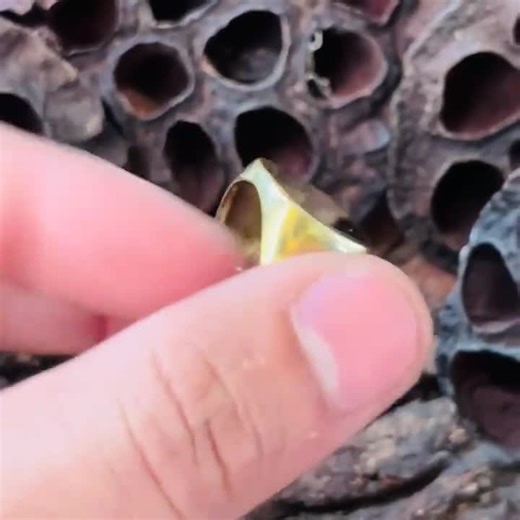 Brass Signet Ring Men’s Square Flat Top Ring | Minimal Geometric Design | Gold Plated Brass Ring | Masculine Wear | Classic Statement Ring - Etsy