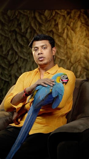 Rio pets Dindigul on Instagram: "Know about “Macaw” 🦜 Follow @riopets_dindigul [ macaw bird, macaw parrot, exotic birds, macaw Tamil, pet lovers, bird lovers, macaw care, macaw price, macaw for sale, pet shop Tamil Nadu, macaw training, macaw talking, macaw sound, macaw diet, macaw food, macaw cage, macaw maintenance, macaw lifespan, macaw facts, pet shop Madurai, pet shop Chennai, macaw breeding, macaw adoption, best pet birds, macaw habits, macaw Tamil Nadu, pet business, macaw personality, t