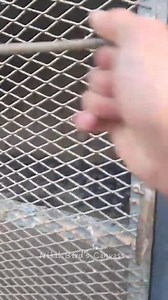 A Huge African Gray Parrots Farm MashaAllah 💚 Today we are sharing a video of a large and well-managed African Gray Parrots farm. These intelligent, beautiful, and highly talented talking parrots are truly amazing to watch. Raised with proper care, clean surroundings, and a natural environment, these African Grays reflect quality breeding and love for birds. Watch the full video and don’t forget to like, comment, and share your thoughts 🤍 📌 Follow the page for more bird-related videos Nihal B