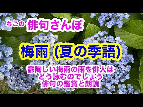 【俳句さんぽ・第18回】梅雨（夏の季語）初心者にもわかりやすい俳句鑑賞です。鬱陶しい梅雨の長雨を先人の俳人たちはどう表現したのでしょうか。#俳句 #俳句鑑賞 #俳句朗読