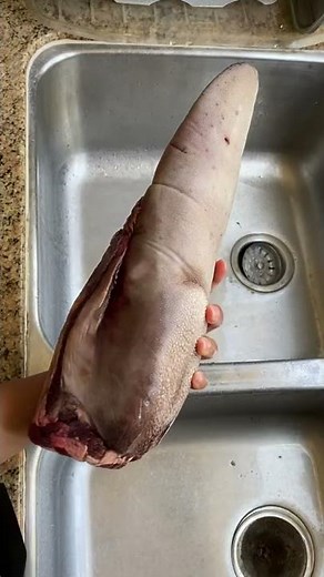 Cooking beef tongue in an Instant Pot