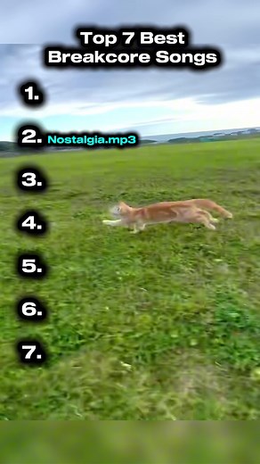 Top 10 Breakcore Songs You Need to Listen To