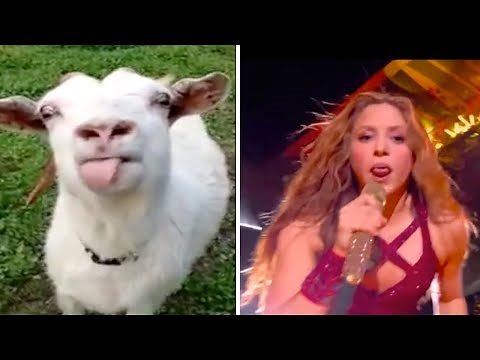 Shakira Tongue Vs Goat